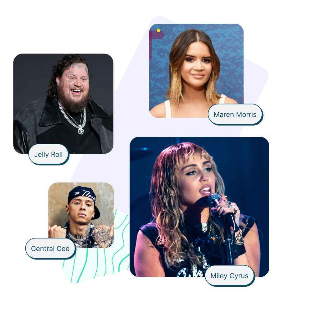 Music Campaigns